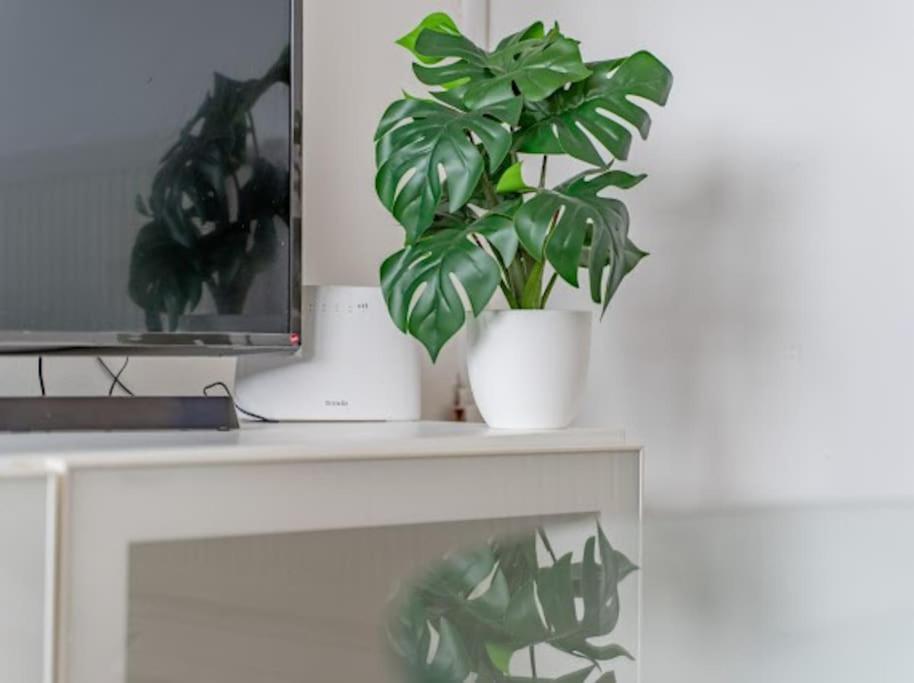 ברמינגהאם Spacious Flat In West Midlands מראה חיצוני תמונה